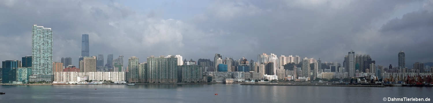 hongkong-16