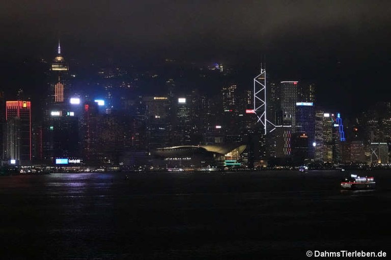Hong Kong Light Show