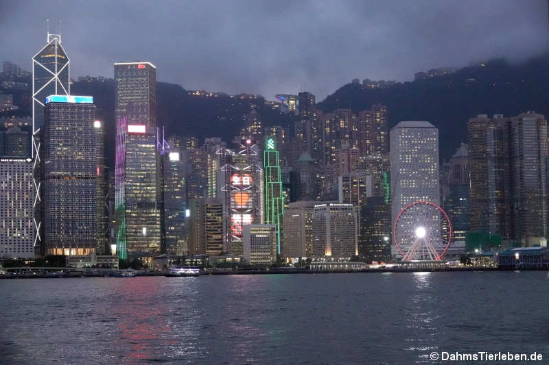 hongkong-2