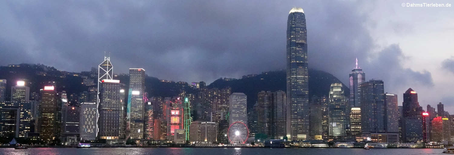 hongkong-3b