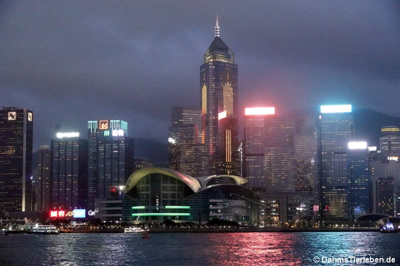 hongkong-4