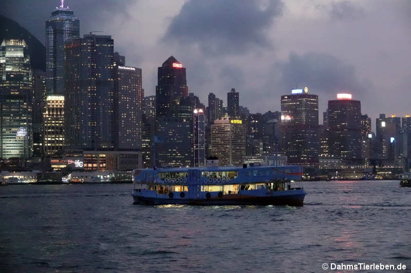 hongkong-5