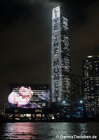 hongkong-6