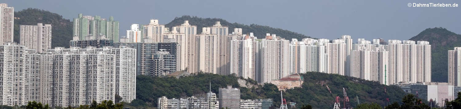 hongkong-9