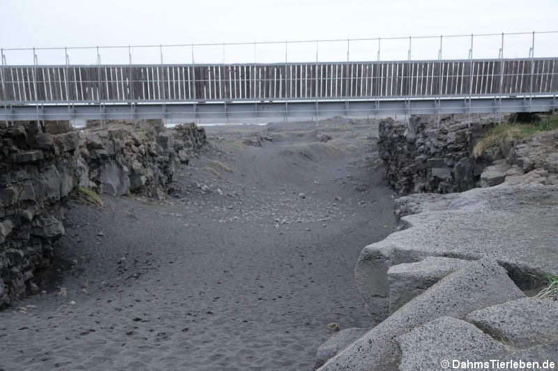 Brücke zwischen den Kontinenten