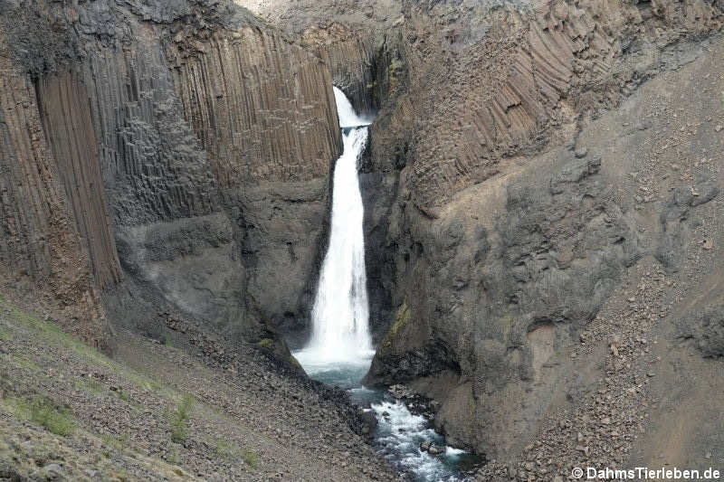 Basaltsäulen am Hengifoss Wasserfall