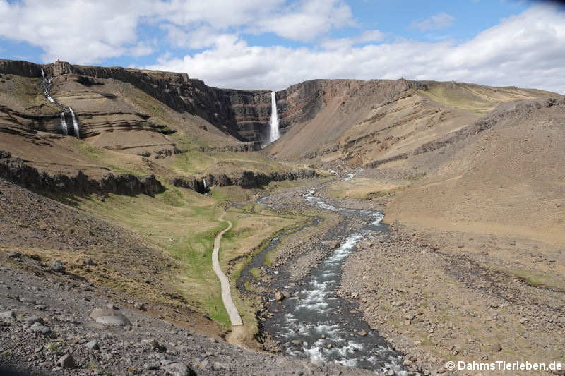 Hengifoss,  der vierthöchste Wasserfall Islands