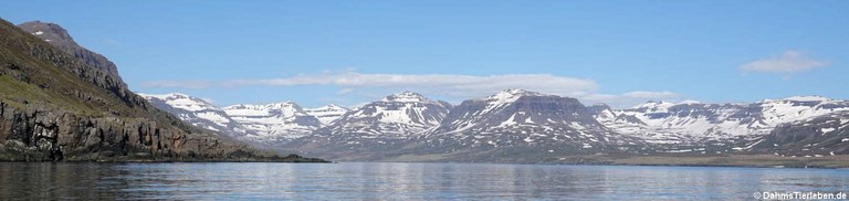 Seydisfjord