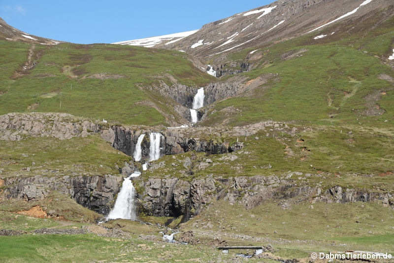 Wasserfall im Seydisfjord
