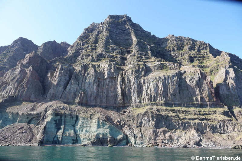 Felsformationen am Seydisfjord