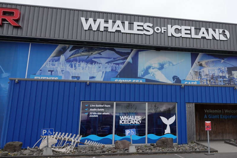 Das Museum Whales of Iceland in Reykjavík