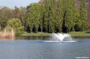 Kalscheurer Weiher
