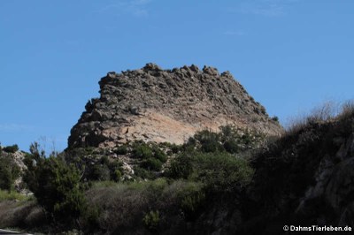 Felsformation auf La Gomera