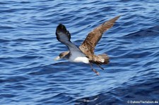 La Gomera