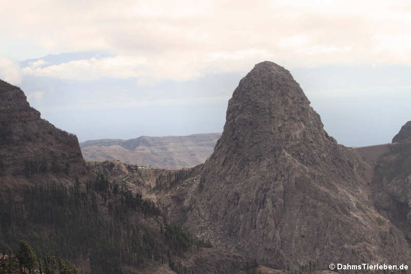 Roque de Agando