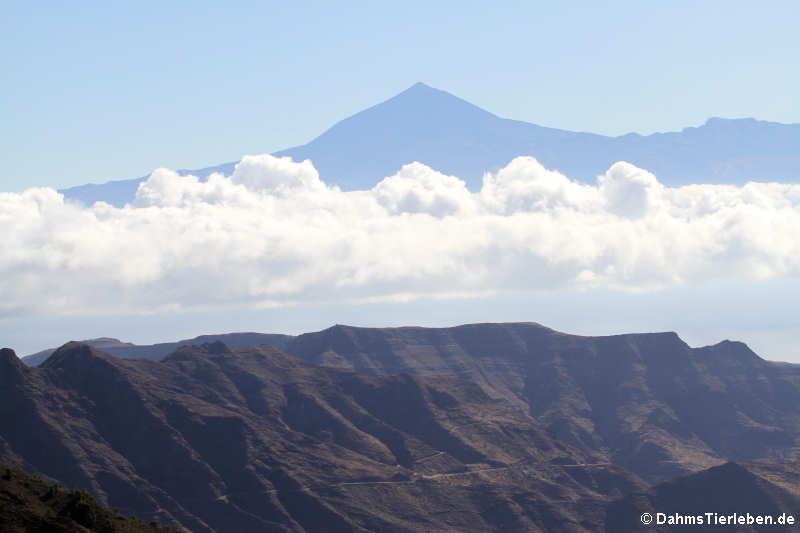 Pico del Teide