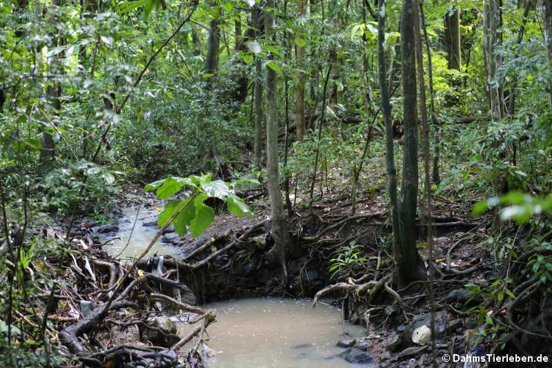 Union Nature Trail