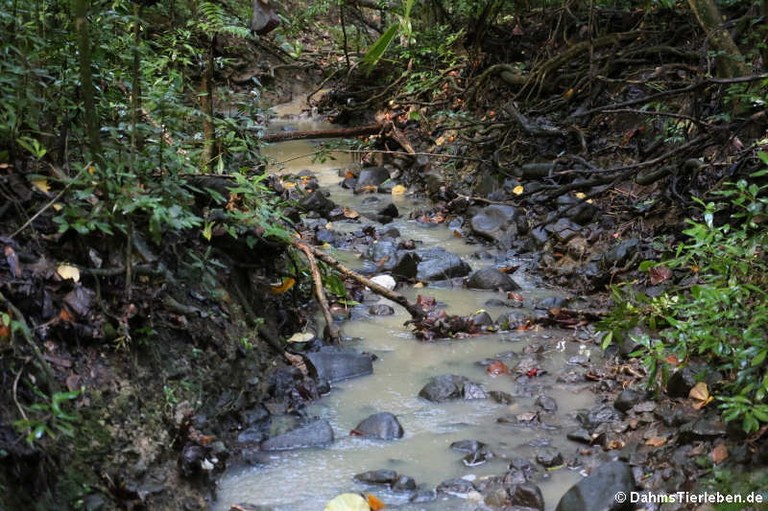 Union Nature Trail