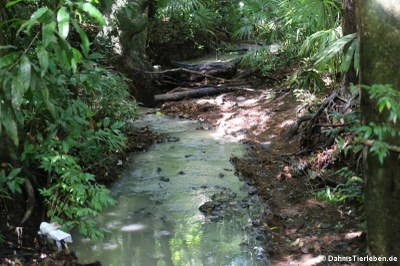 Eindrücke vom Union Nature Trail