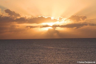 Sonnenuntergang vor Sint Maarten