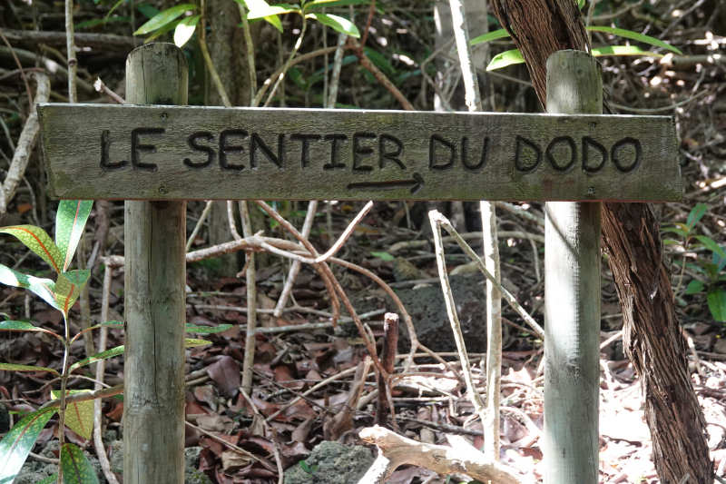 Dodo-Weg