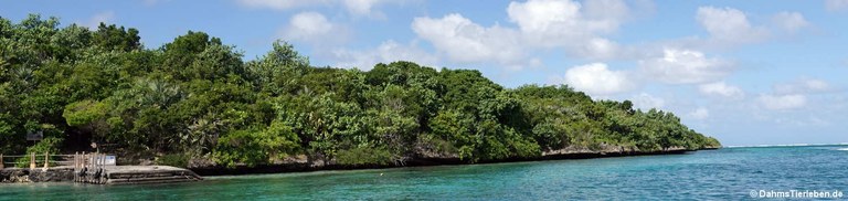 Ile aux Aigrettes