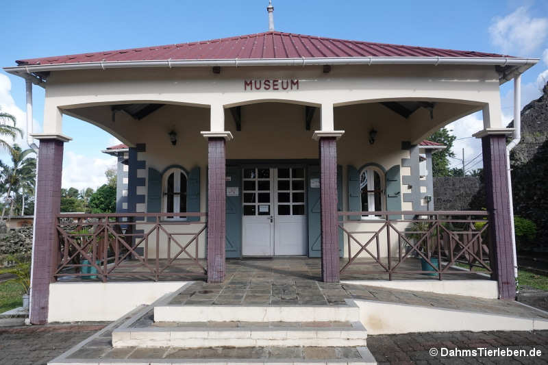 vieux-grand-port-01