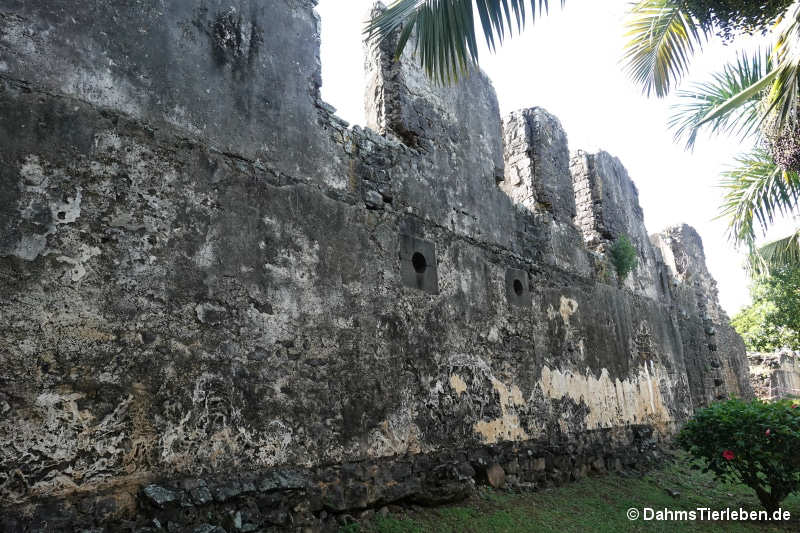 vieux-grand-port-03