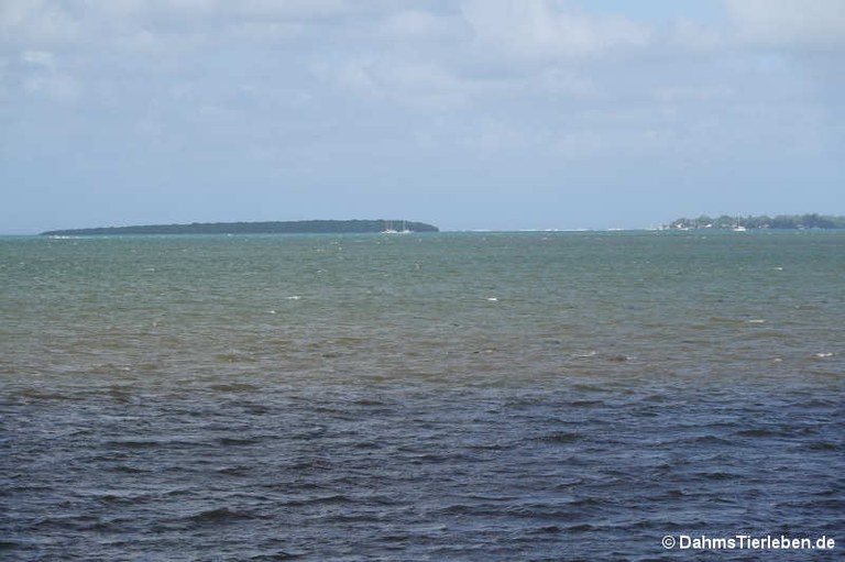 Ort der  Schlacht von Vieux Grand Port