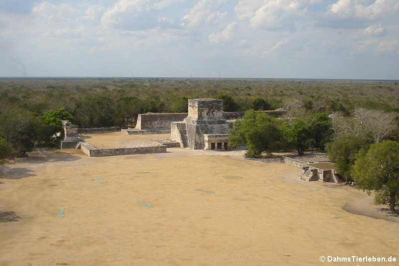 Ausblick von El Castillo