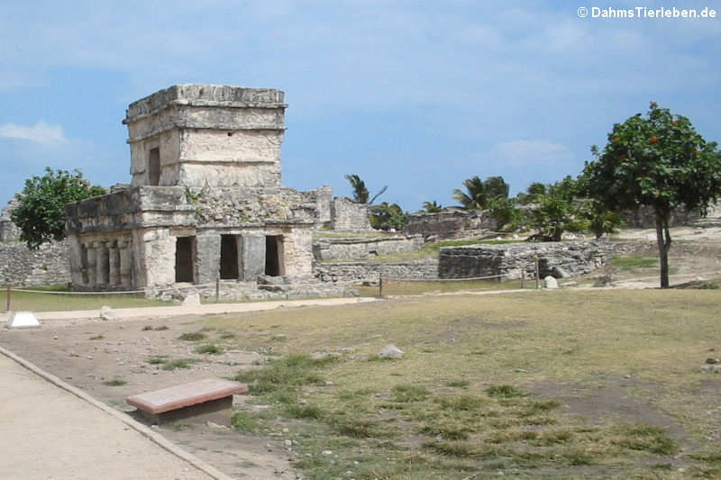 Templo de los Frescos