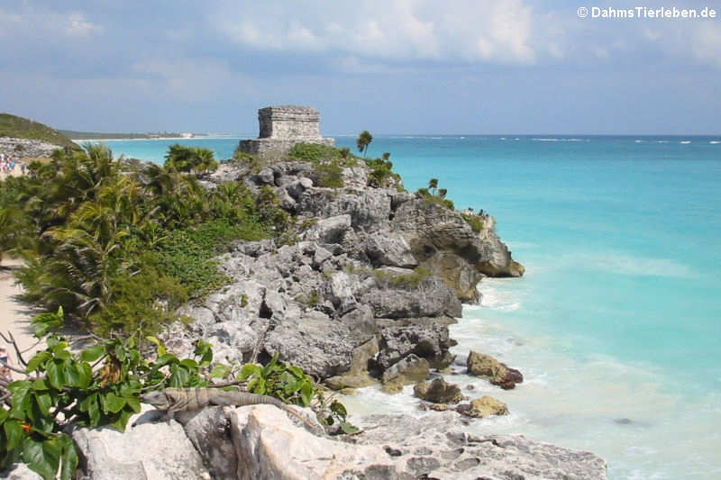 Tulum