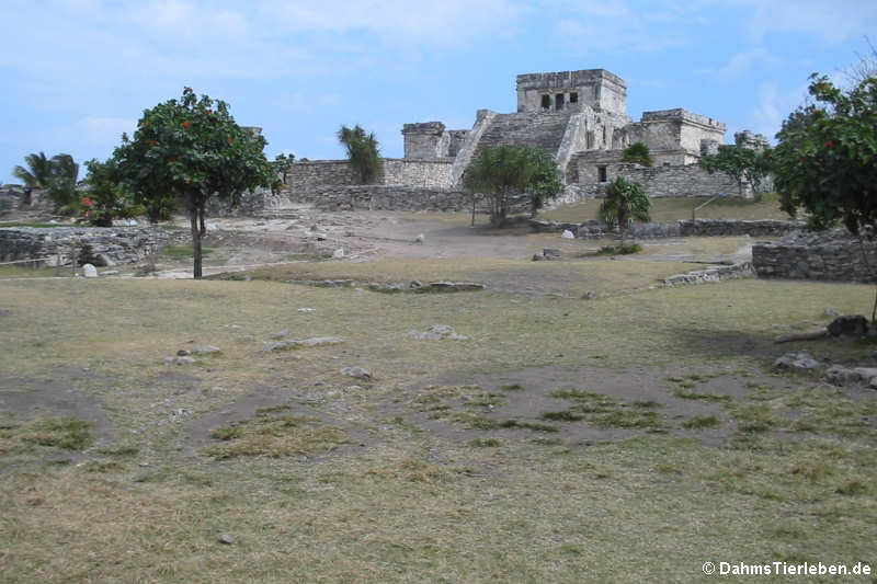 Tulum