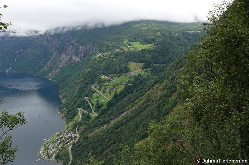 Adlerstraße in Geiranger, Norwegen