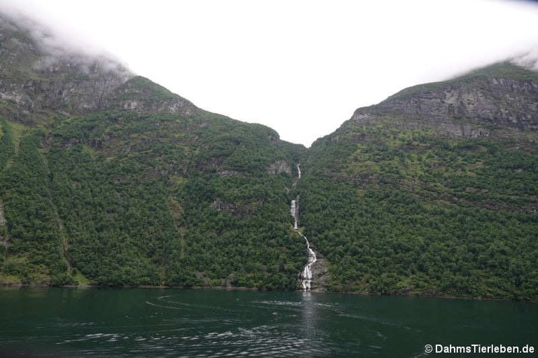 Wasserfall am Geirangerfjord