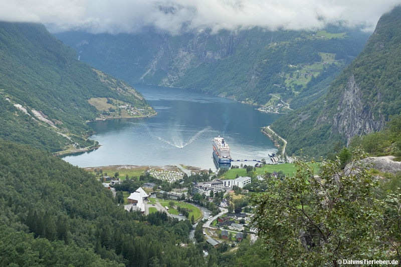 Blick auf Geiranger