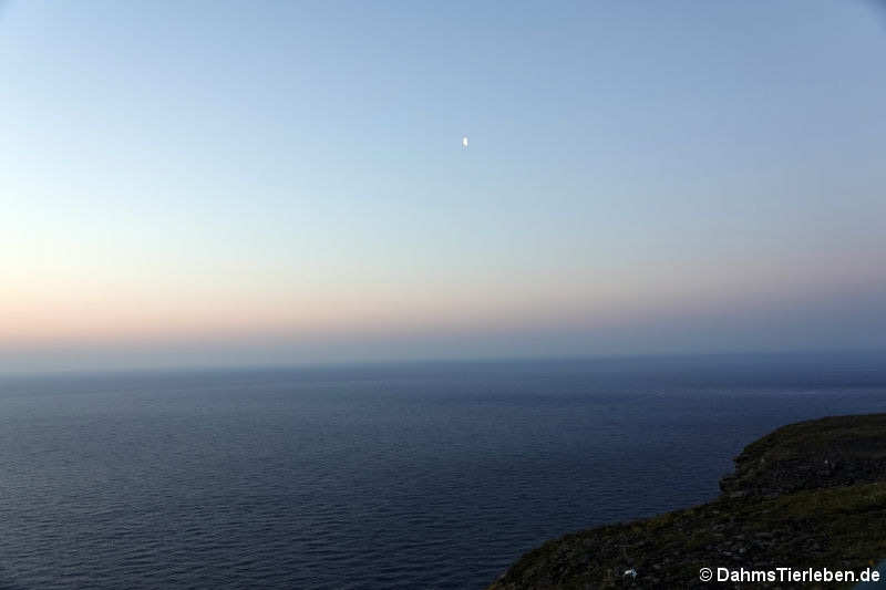 Mitternacht am Nordkap