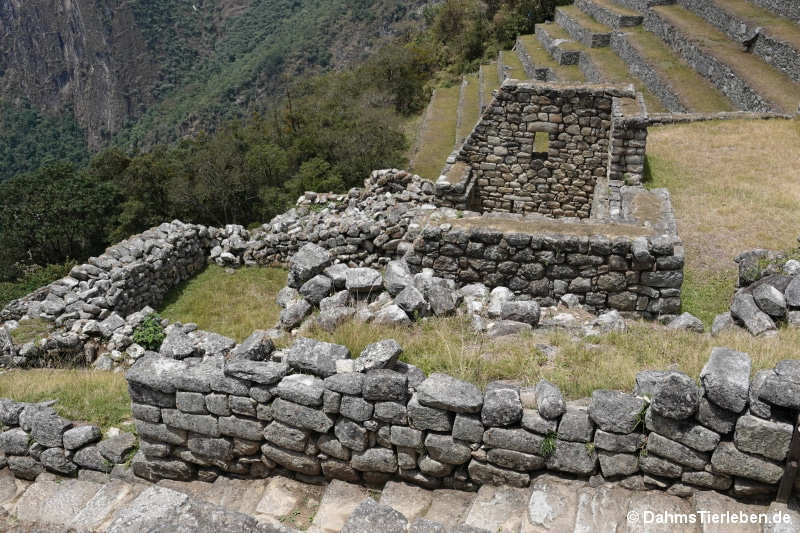 Reserva Arqueológica