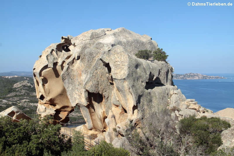 Capo d'Orso