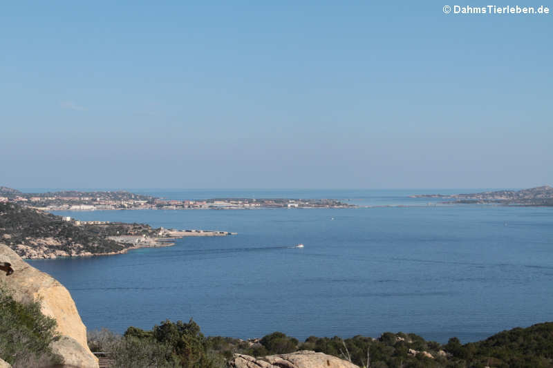 Blick auf die Inseln La Maddalena und Caprera, die mit einer kleinen Brücke verbunden sind