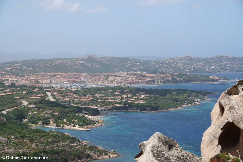 Capo d’Orso