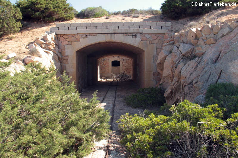 Festung Capo d'Orso