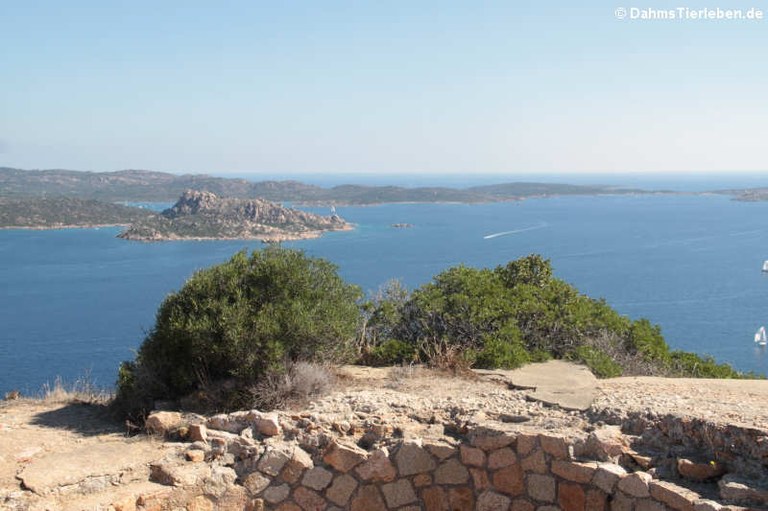 Festung Capo d'Orso