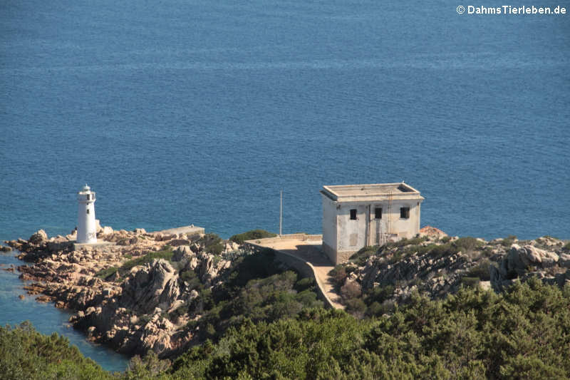 Blick von der Festung hinunter zum Leuchtturm