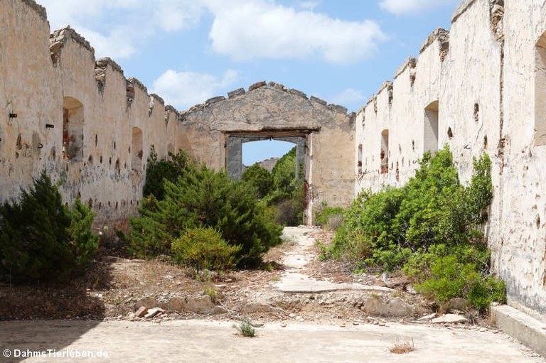 Festung Capo d'Orso