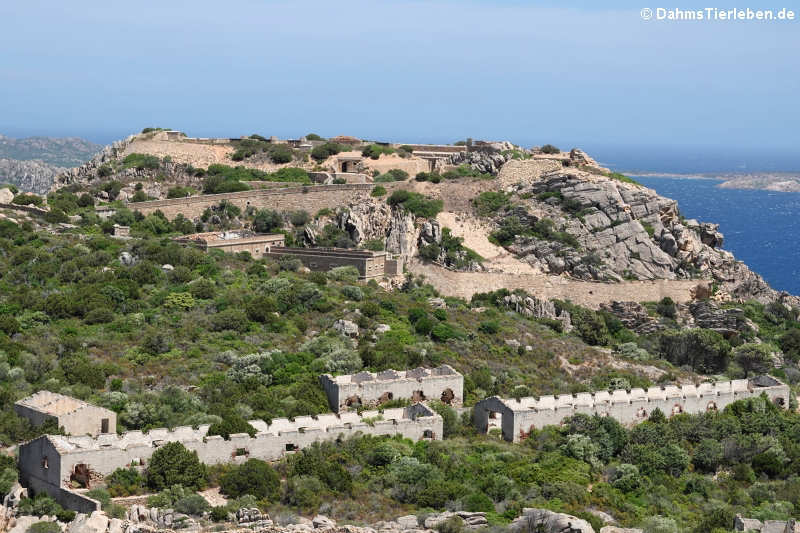 Festung Capo d'Orso