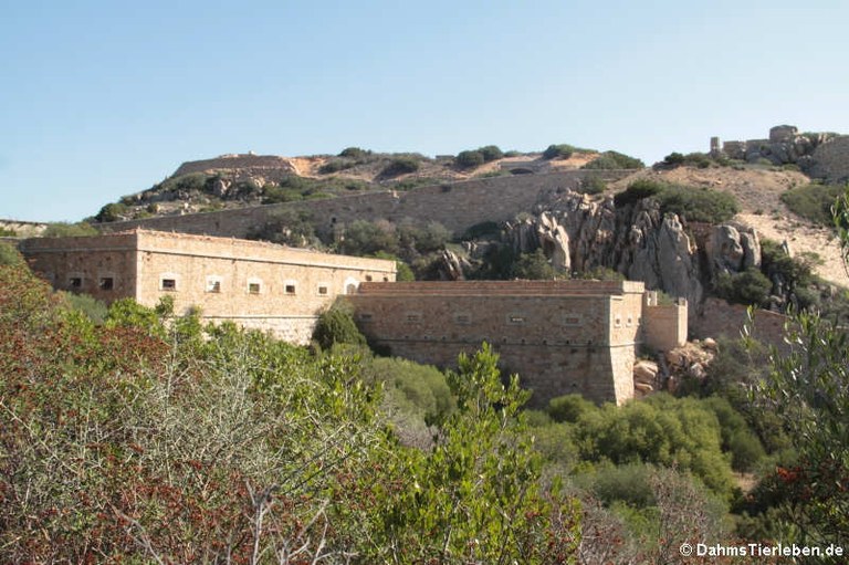 Festung Capo d'Orso