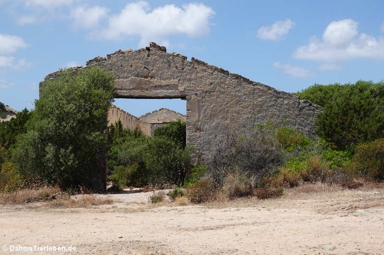 Festung Capo d'Orso