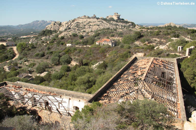 Festung Capo d'Orso