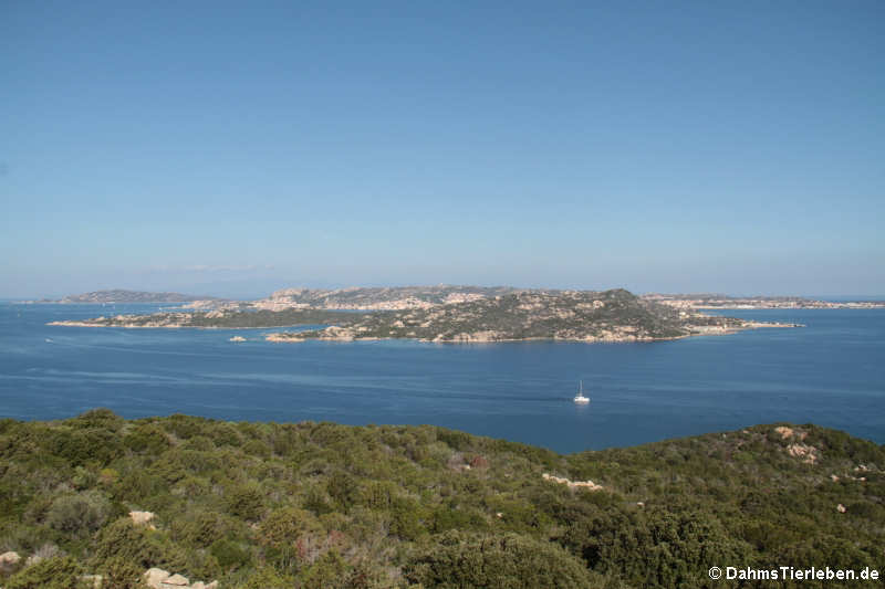 Blick auf die Isola di Santo Stefano